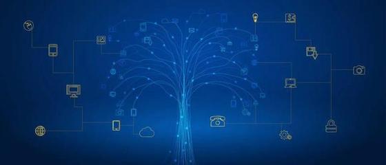 重磅發(fā)布！內(nèi)江高校網(wǎng)絡(luò)工程專(zhuān)業(yè)全景解析 從課程體系到就業(yè)藍(lán)圖